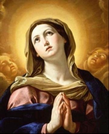 Ngày 08/12: Đức Mẹ Maria Vô Nhiễm Nguyên Tội